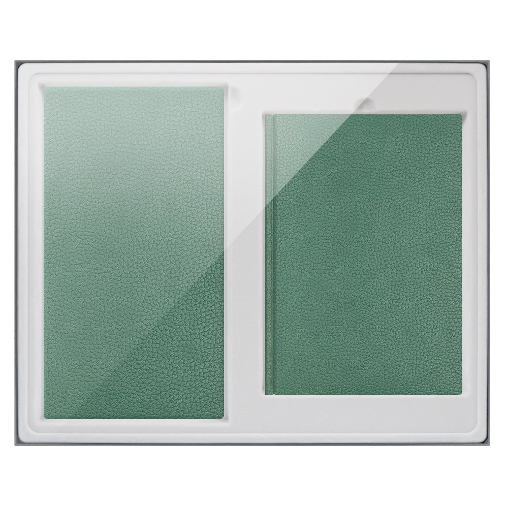 Подарочный набор DALLAS,зеленый(Ежедневник недат А5,Визитница) до 2017 г
