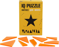 Головоломка IQ Puzzle