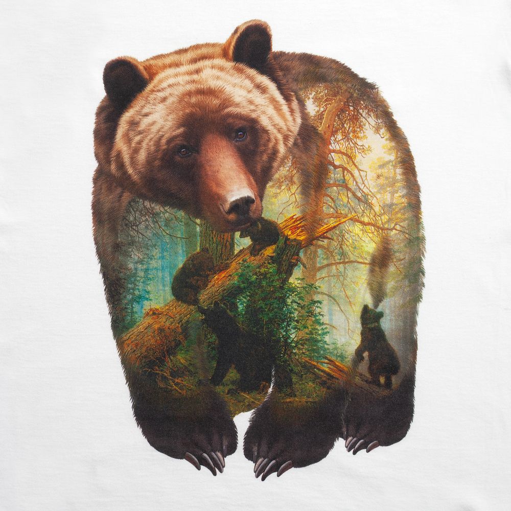 Футболка Bruin