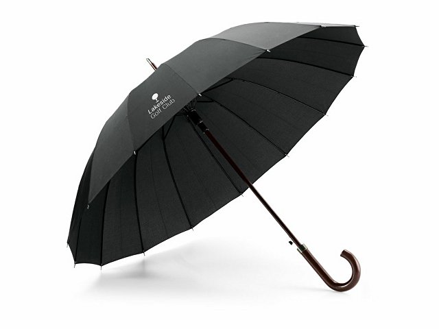 Зонт из 16 прутьев «HEDI»