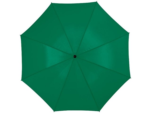 Зонт-трость «Zeke»
