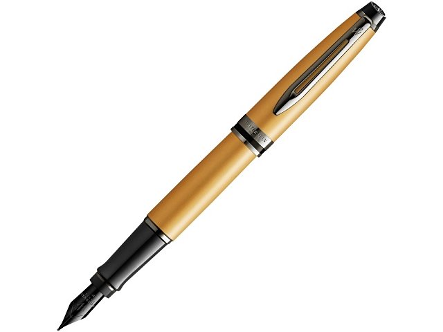 Ручка перьевая Expert Metallic