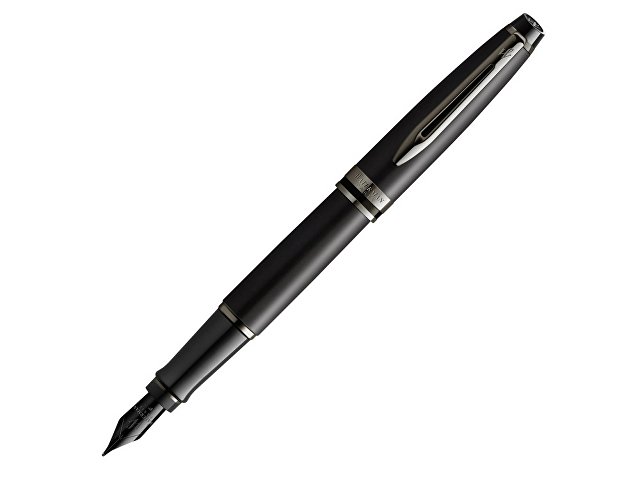Ручка перьевая Expert Metallic