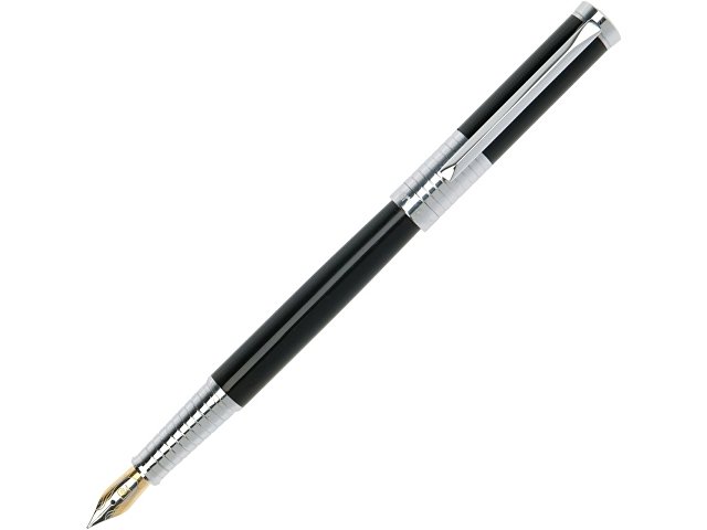 Ручка перьевая «Evolution»