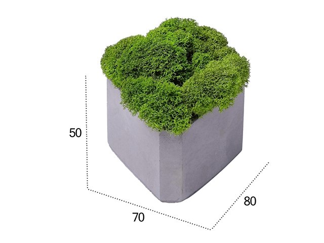 Кашпо бетонное со мхом «Гама»