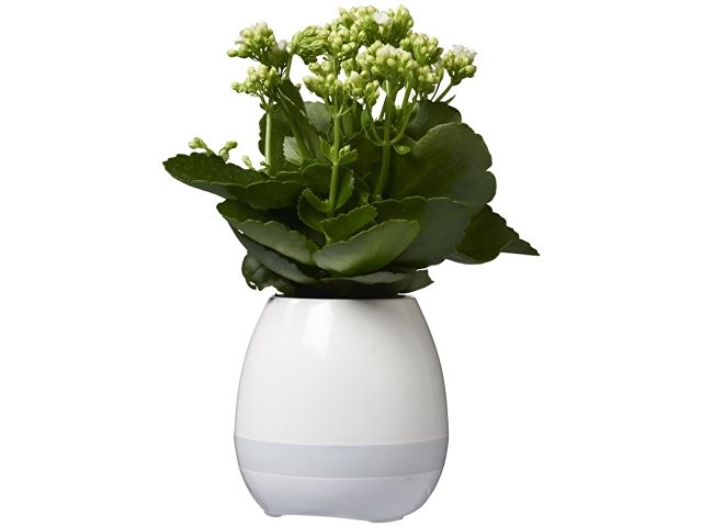 Динамик «Green Thumb Flower Pot» с Bluetooth®