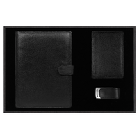 Набор подарочный Solution Prestige Quadro (Блокнот Alfa Polo Line в суперобложке Country Leather Sky, обложка для автодокументов Leather Sun, флеш накопитель Shine, USB 2.0 32GB)