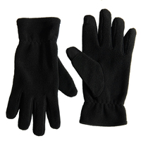 Перчатки флисовые сенсорные TRAIL L/XL 220