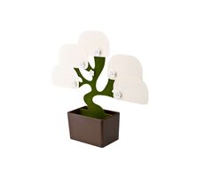 Органайзер настольный Bonsai 