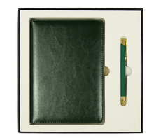 Набор подарочный Solution Duo (ежедневник City Nebraska, ручка Legend Soft Touch Mirror Gold), зеленый