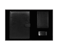 Набор подарочный Solution Prestige Quadro (Блокнот Alfa Polo Line в суперобложке Country Leather Sky, обложка для автодокументов Leather Sun, флеш накопитель Shine, USB 2.0 32GB)