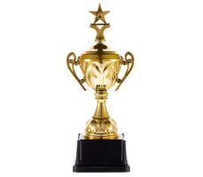 Кубок Top Star, золотистый