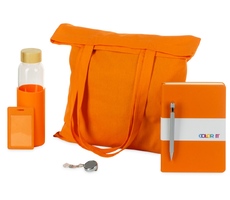 Welcome pack «Color Refine»