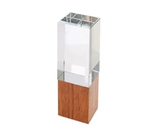 Награда «Wood and glass»