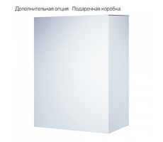 Коробка под сумку/рюкзак, картон, 490х375х190 мм